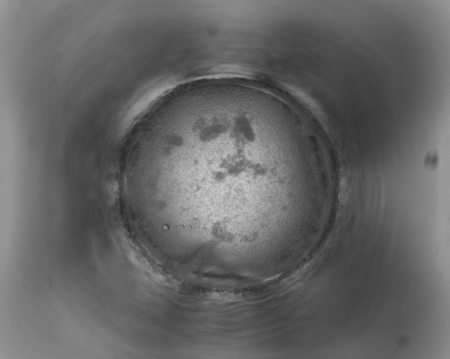 X0000113591407200910021706