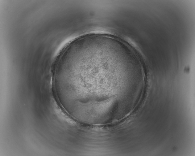 X0000113591408200910021706