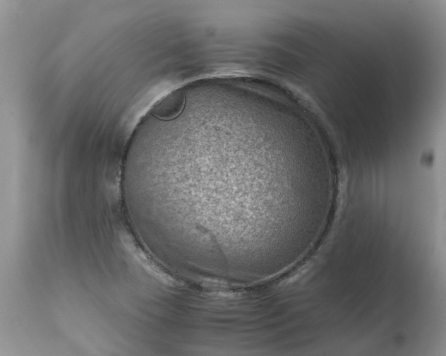 X0000113591409200910021706