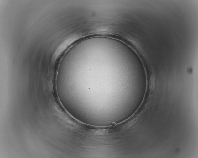 X0000113591410200910021706