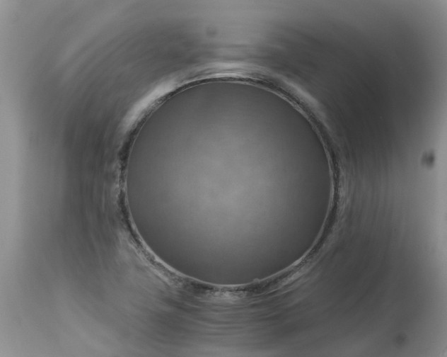 X0000113591411200910021706