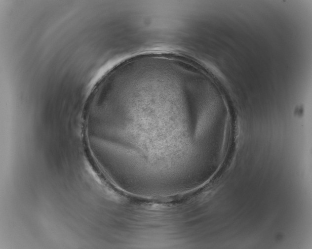 X0000113591412200910021706