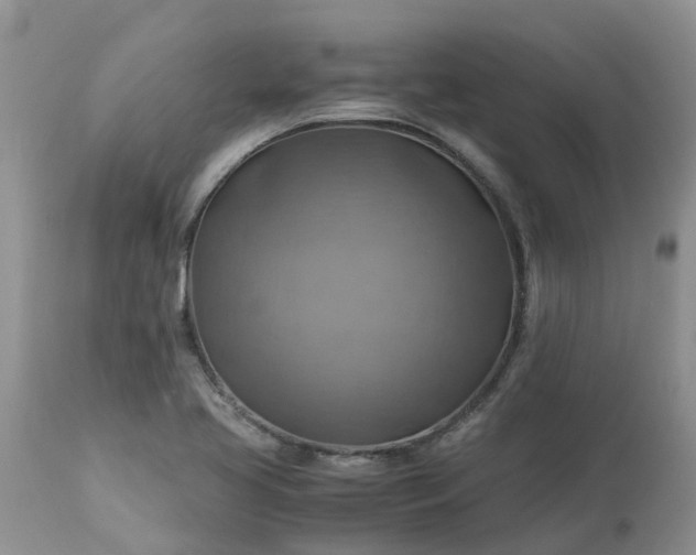 X0000113591413200910021706