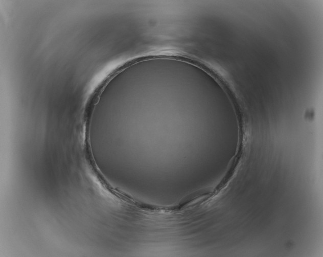 X0000113591414200910021706