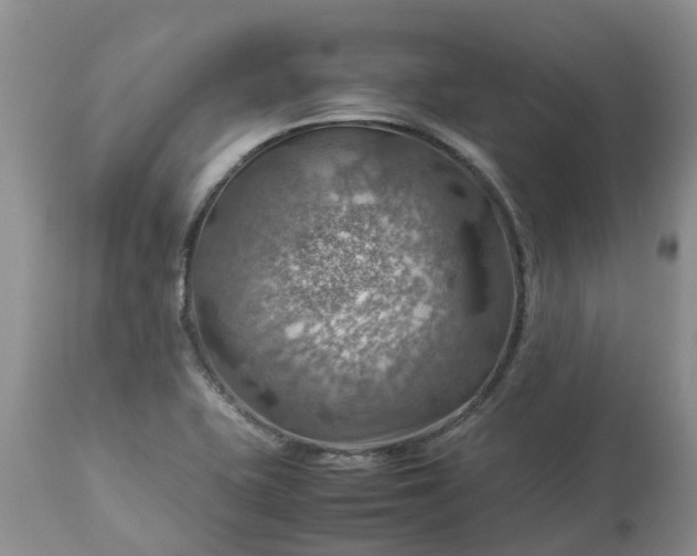 X0000113591415200910021706