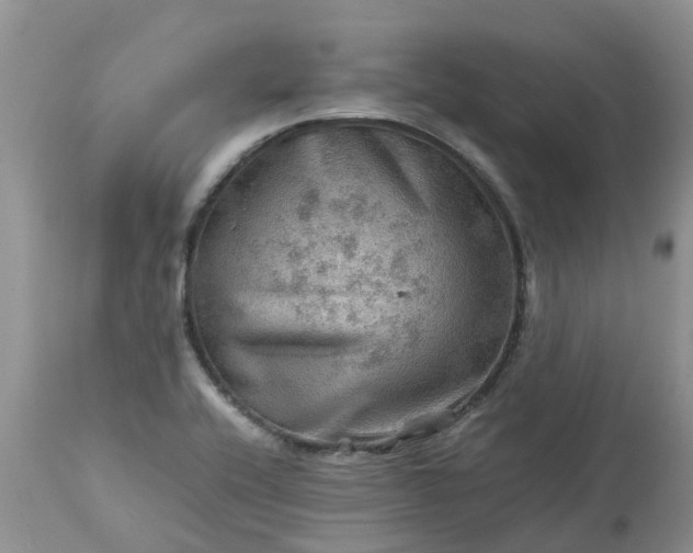 X0000113591416200910021706