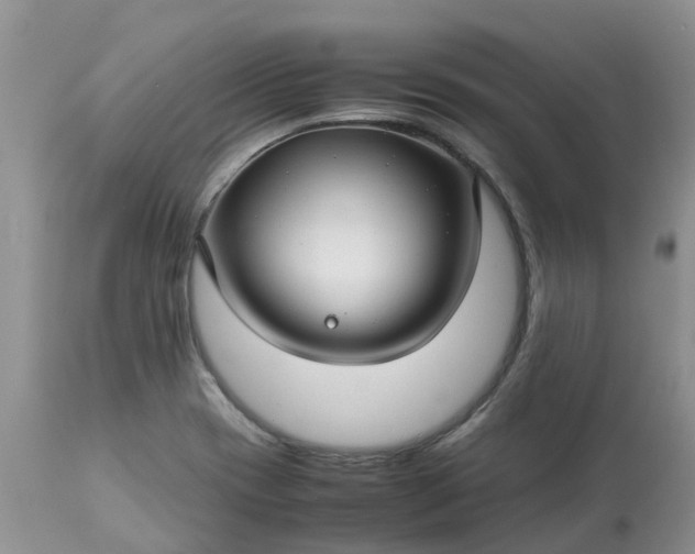 X0000113591417200910021706