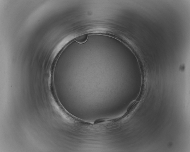 X0000113591418200910021706