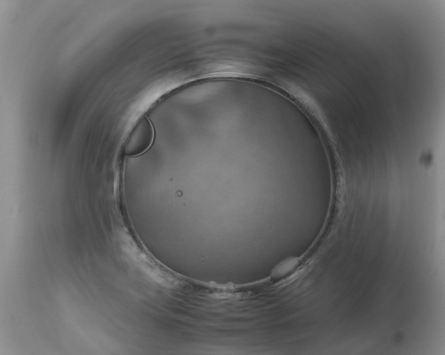 X0000113591419200910021706