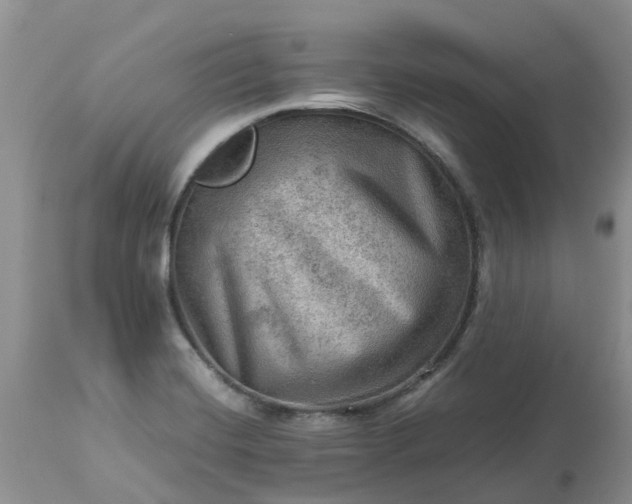 X0000113591420200910021706