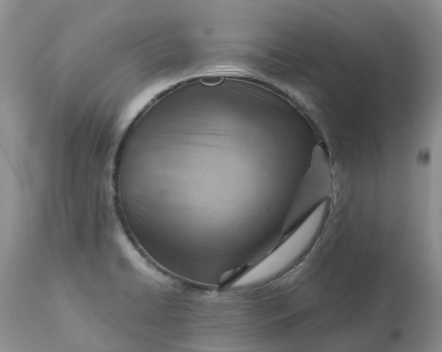 X0000113591422200910021706