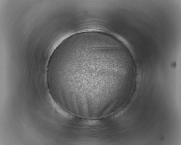 X0000113591423200910021706