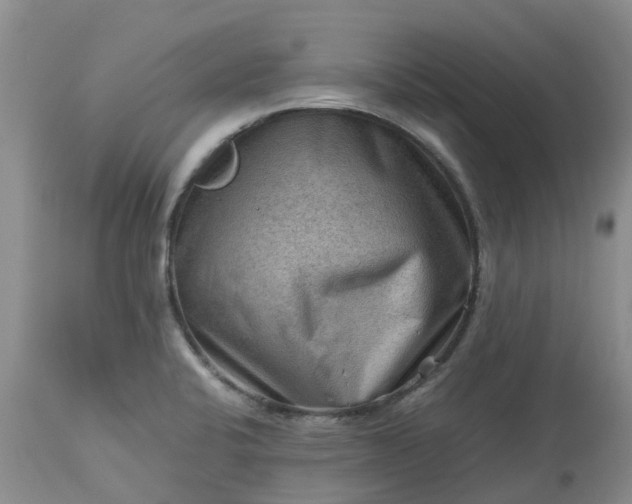 X0000113591424200910021706