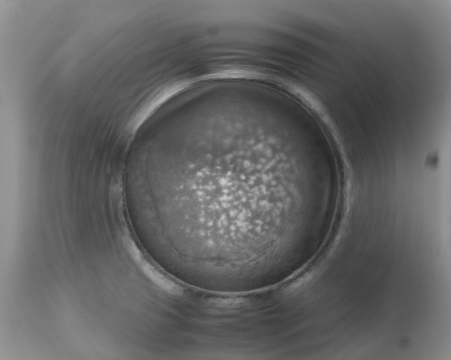 X0000113591425200910021706