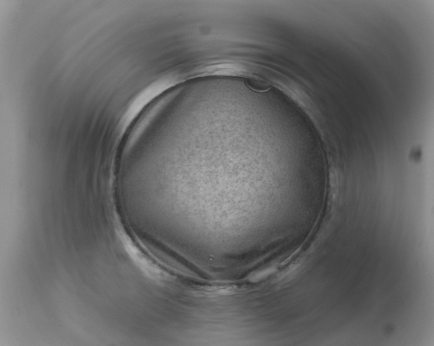 X0000113591426200910021706