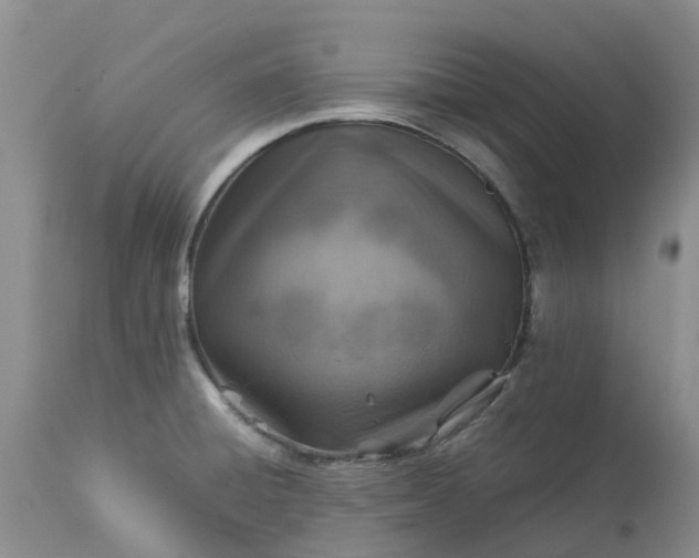 X0000113591428200910021706