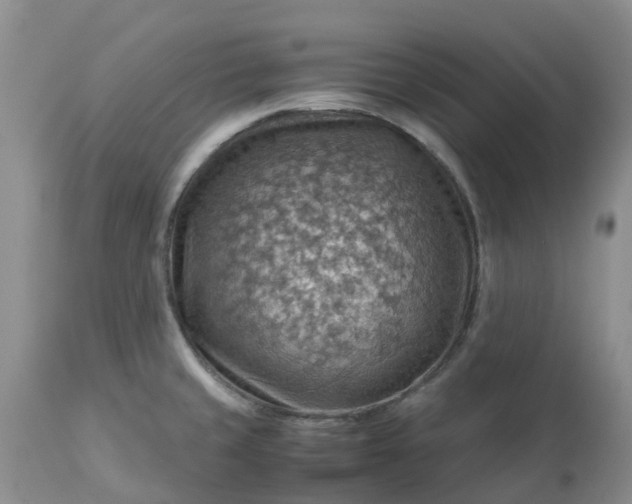 X0000113591429200910021706