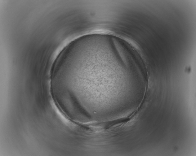 X0000113591430200910021706