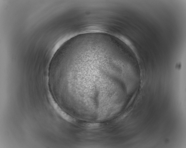 X0000113591431200910021706