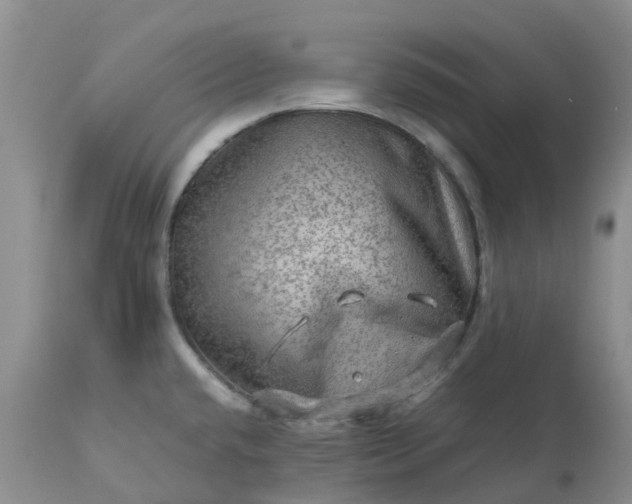 X0000113591432200910021706