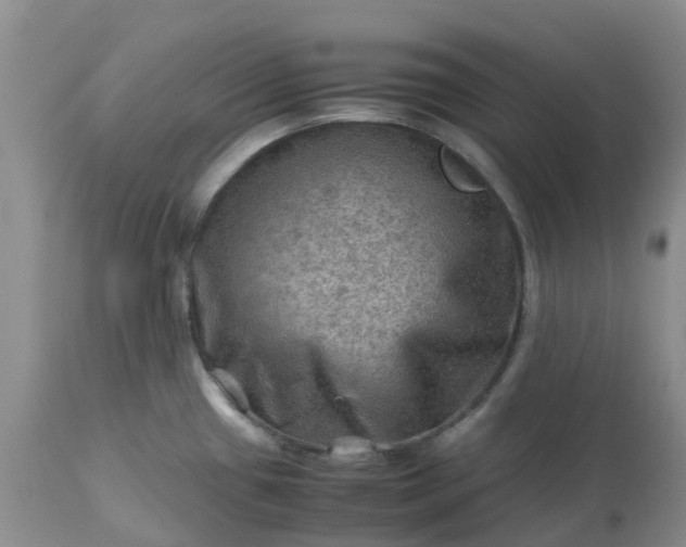 X0000113591433200910021706