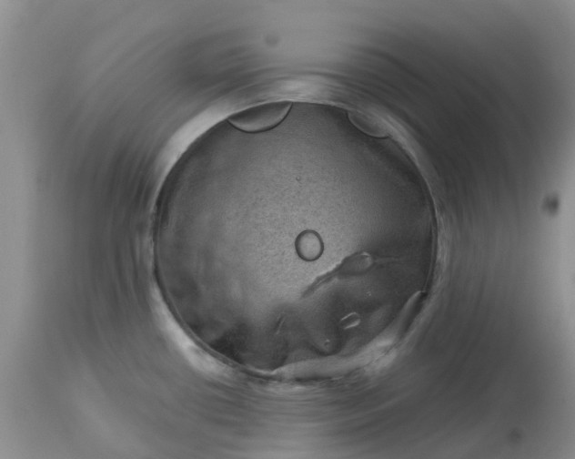 X0000113591434200910021706