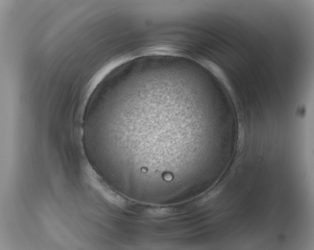 X0000113591435200910021706