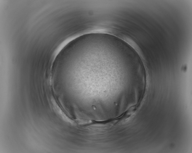 X0000113591436200910021706