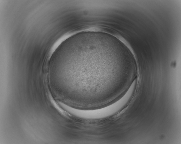 X0000113591437200910021706