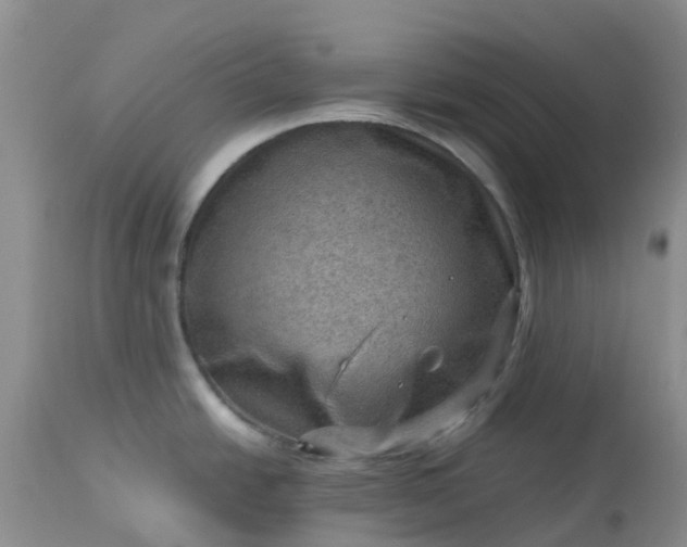 X0000113591438200910021706