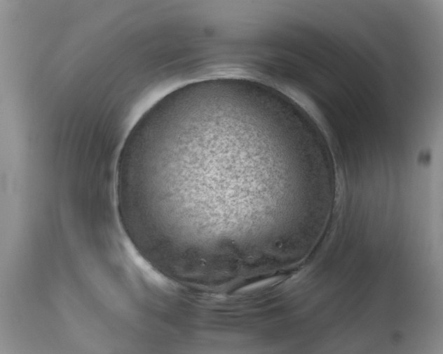 X0000113591439200910021706