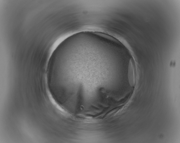 X0000113591440200910021706