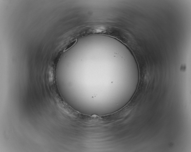 X0000113591442200910021705