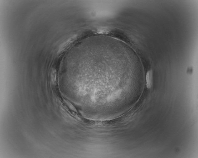 X0000113591443200910021705