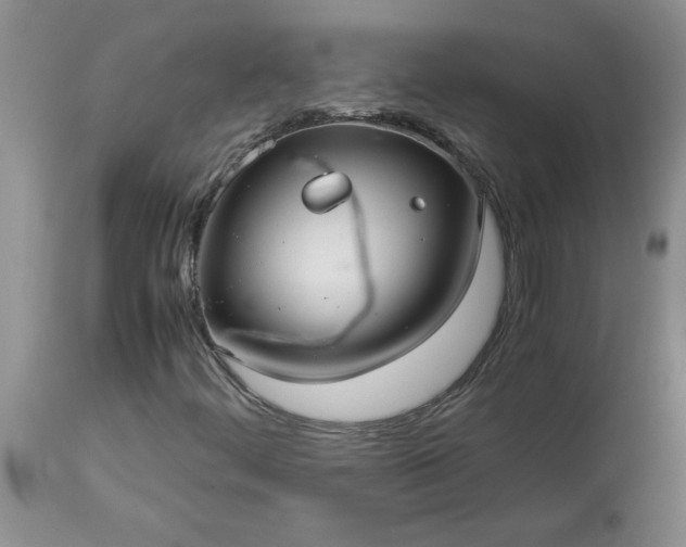 X0000113591444200910021705