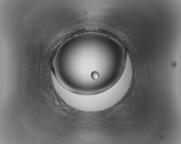 X0000113591445200910021705