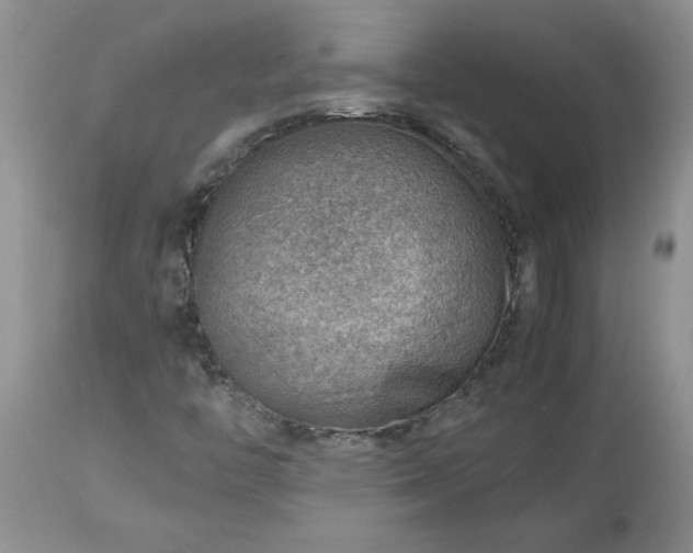 X0000113591446200910021705