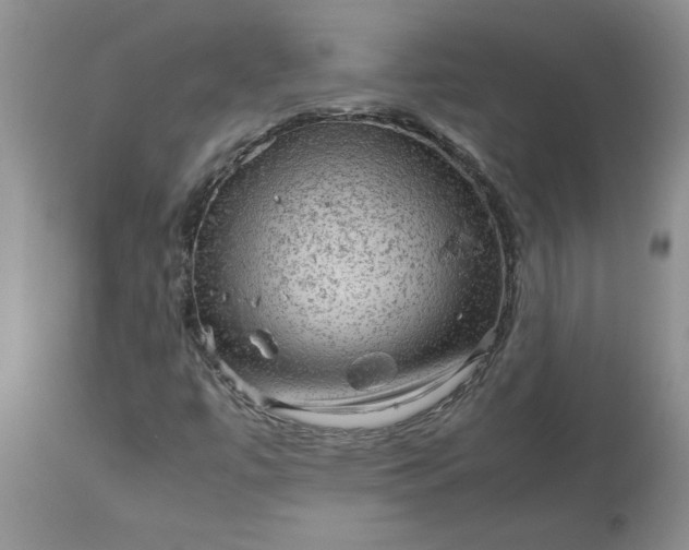 X0000113591447200910021705