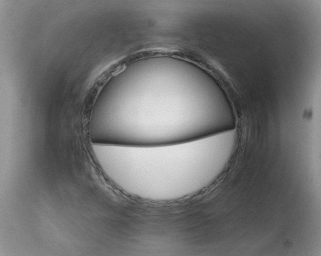 X0000113591448200910021705