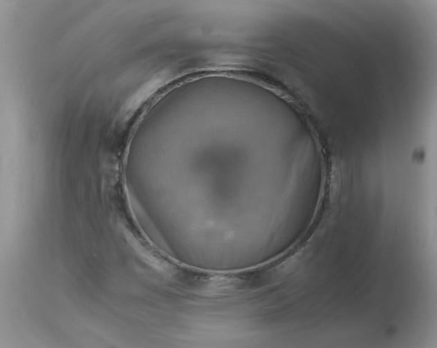 X0000113591449200910021705