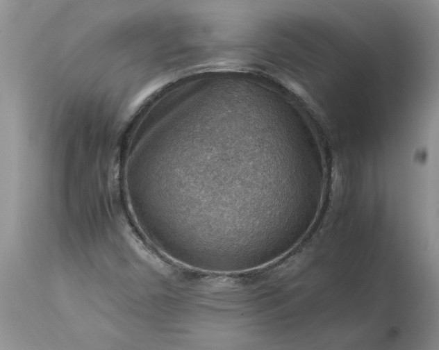 X0000113591450200910021705