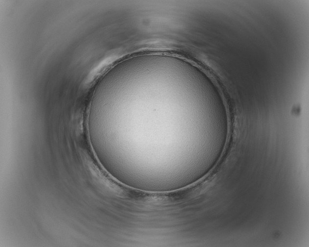 X0000113591451200910021705