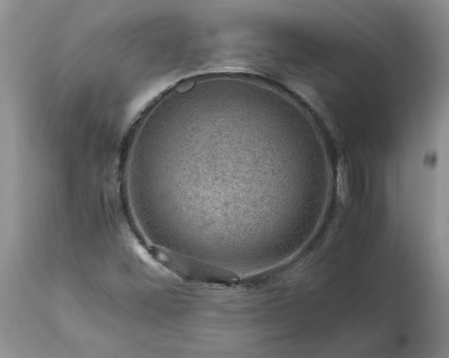 X0000113591452200910021705