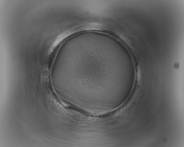 X0000113591453200910021705