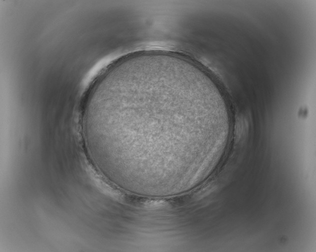 X0000113591454200910021705