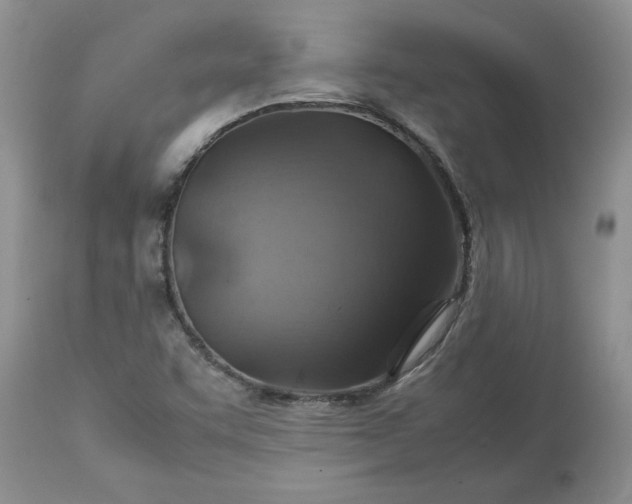 X0000113591455200910021705