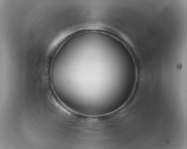 X0000113591456200910021705