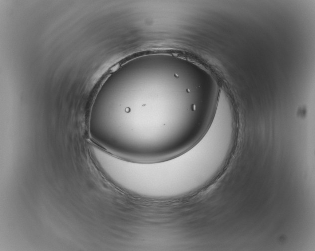 X0000113591457200910021705