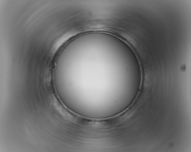 X0000113591458200910021705