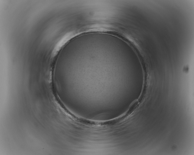 X0000113591459200910021705